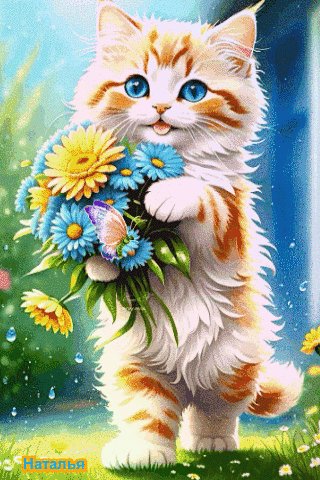 file_96857268