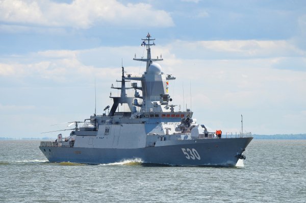 IMG 2012 стерегущий