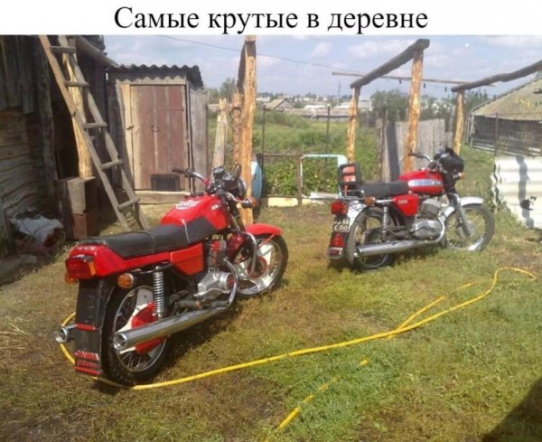file_89346911