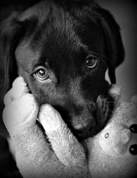 NE7QQ35LGHCJVZGHX79S