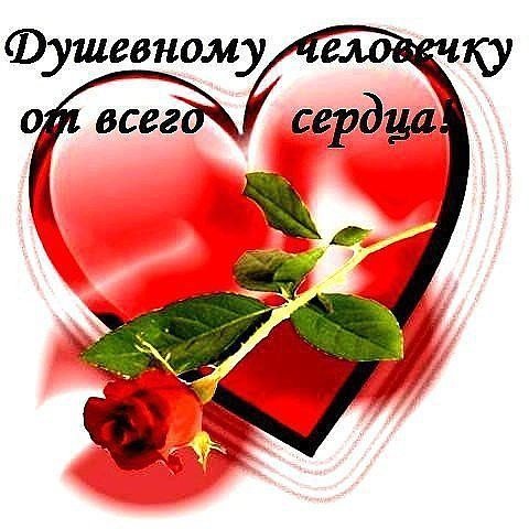 IMG 20151002 153255 5