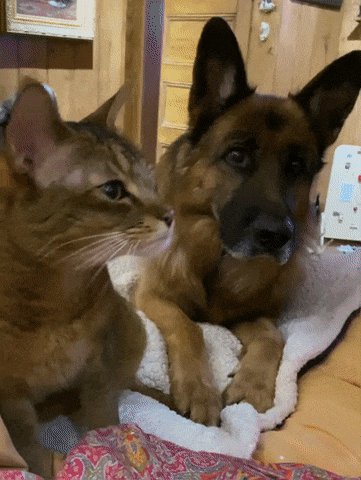 IMG 20191209 004158