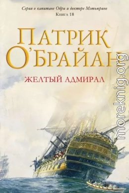 Желтый Адмирал