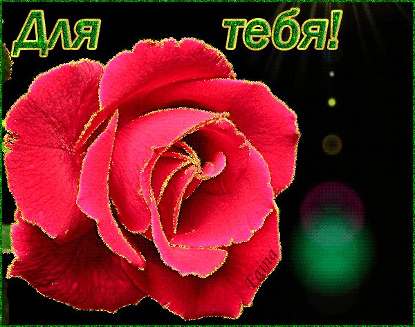 file_62276800
