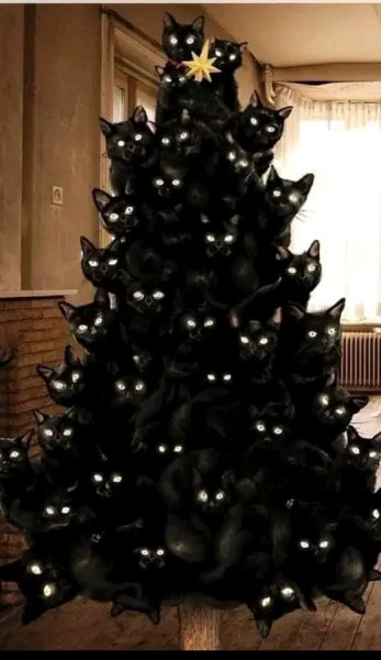 FB IMG 16545148260228157