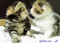 GIFUS RU Potseluychik