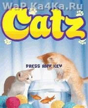 Пушистые котята