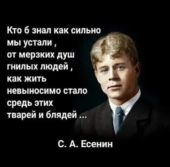 F65502a2a258ca4b86ac10c1c223f841
