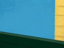 Tom-and-jerry-shotgun