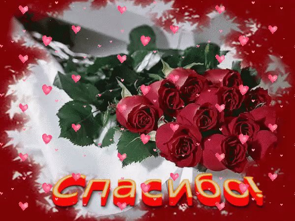 IMG 20180524 112920