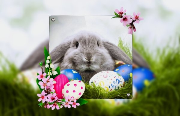 file_77320827