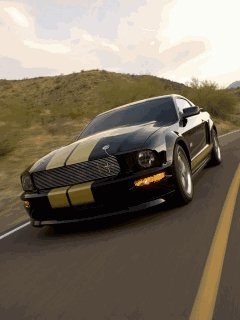 Mustang car