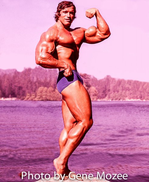 Mozee-Arnold-color003-Edit-Edit