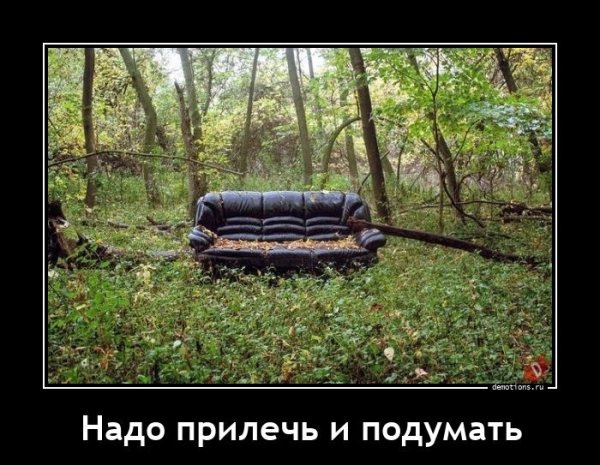 Вопрос. как он сюда попал?