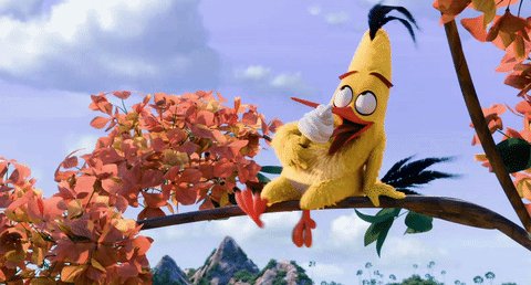 gif 1499238031