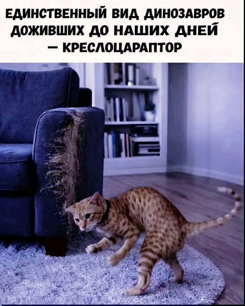 FB IMG 1778838294870