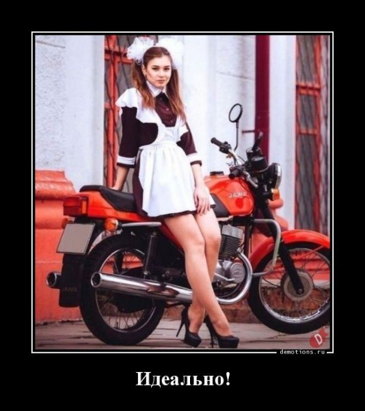 d5df01e1ffe39c2f 4 (61)