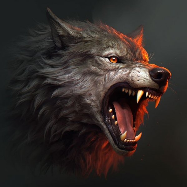 b41bdd65b36ffa714d81759ef839