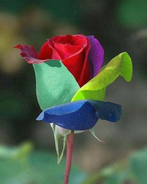 FB IMG 16322371186659569