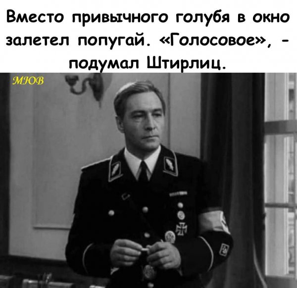 FB IMG 1775992362835