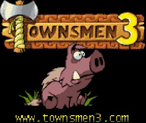 Townsmen 3 240x320(eng)