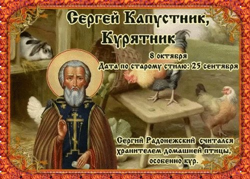 Анимированная открытка сергей капустник