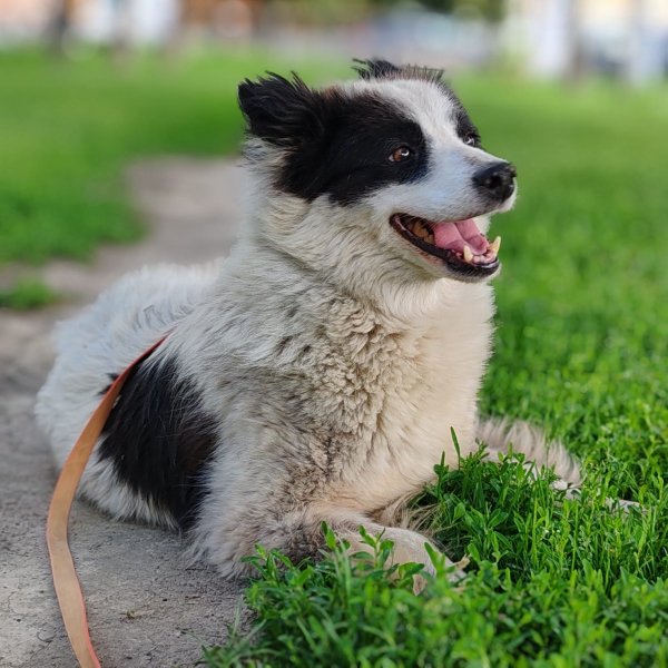 XSXFCVBNFDBJFCB055T9A