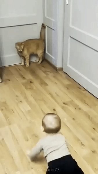 Врёшь! Не возьмёшь!