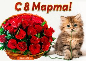 s-8-marta-tebya-51527-9534205