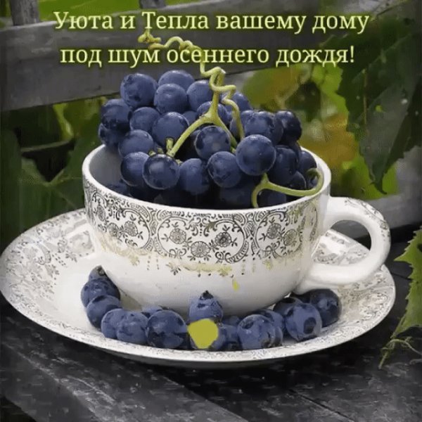 B029BB18-954C-4215-957F-7A60F4BA5A83