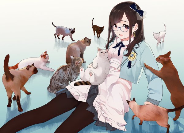 file_81425853