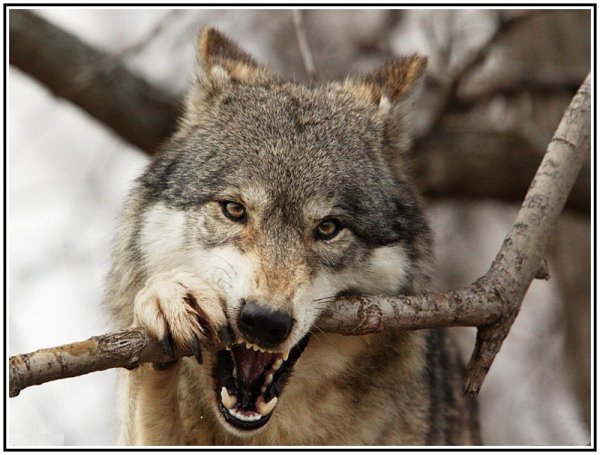 x600 BQjbMR7g2uaz7UK6uL0n