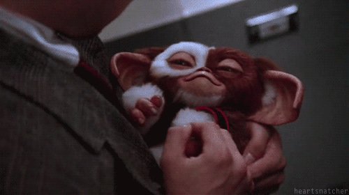 gizmo