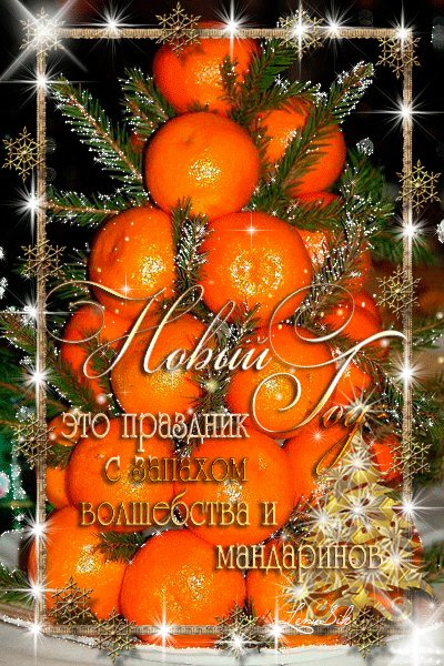 n548uuf1s8d19852ob2a97fa358o7ndl