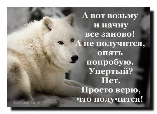 Получится