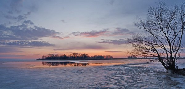file_101933987
