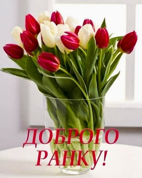 Бажаю Чудового Дня!!!