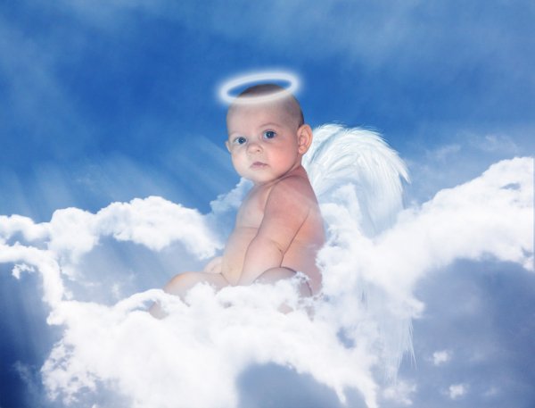 post-29975-1235748085