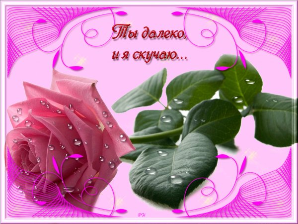 53c31c39c319eaff5a040ef67bb6e6fc