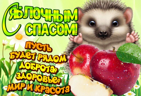 Яблочный Спас 010001