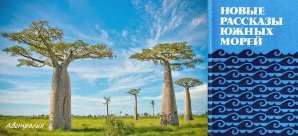 Колин Джонсон. ПАДЕНИЕ ДИКОГО КОТА (роман) часть 2