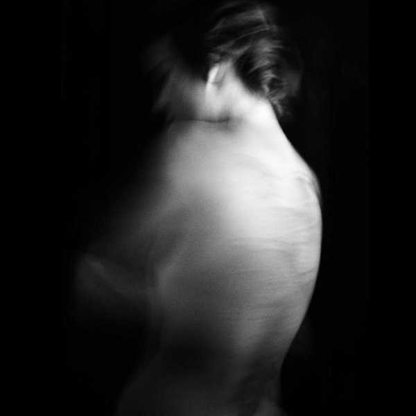 Cantodea Dianthus - Las Vias Del Tren