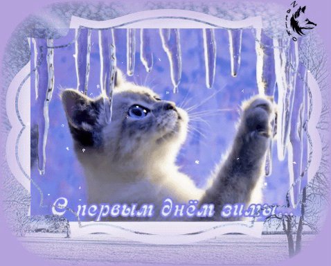 file_60079976