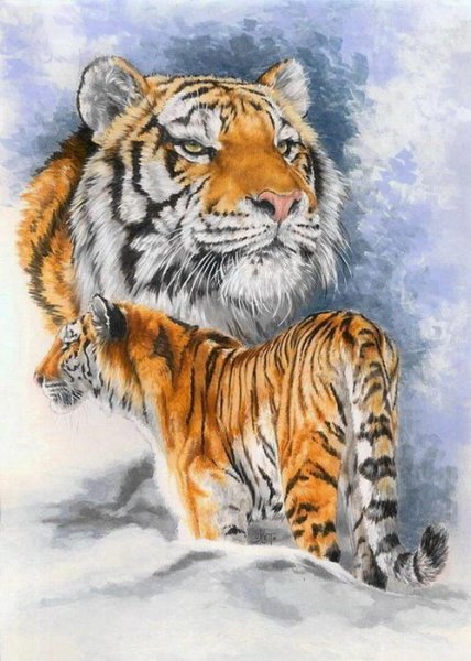 1forcefulbarbarakeith