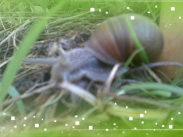 Подсознание может все Джон Кехо