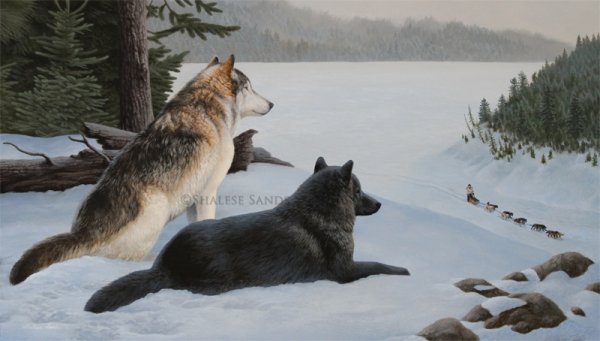 kit swolvesws by misted dream-d70ner7