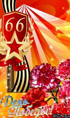 file_81321065
