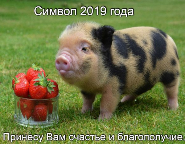 file_75472265