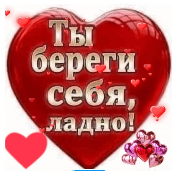 file_86395003