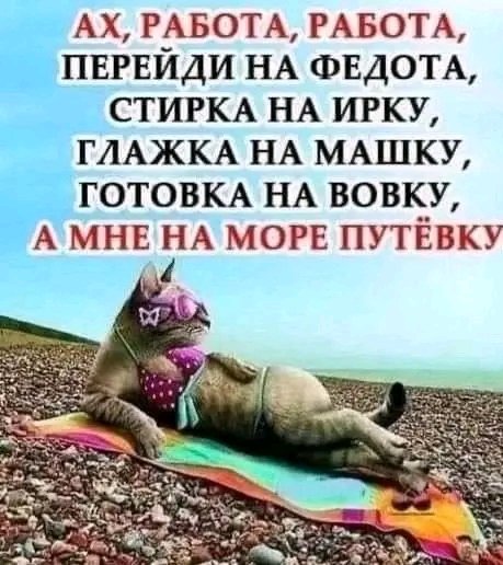file_103004084